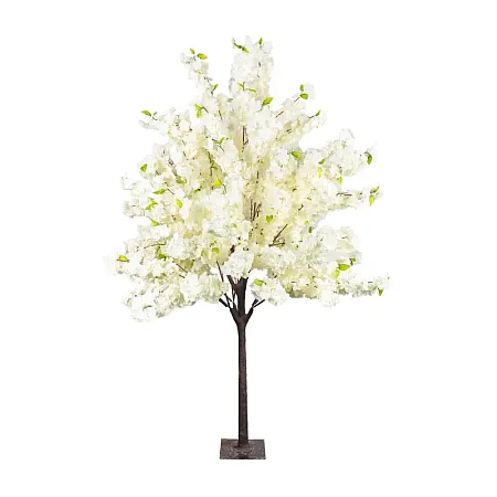 images/uploads/22217/thumb_22014 web.webp